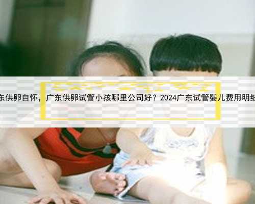广东供卵自怀，广东供卵试管小孩哪里公司好？2024广东试管婴儿费用明细？
