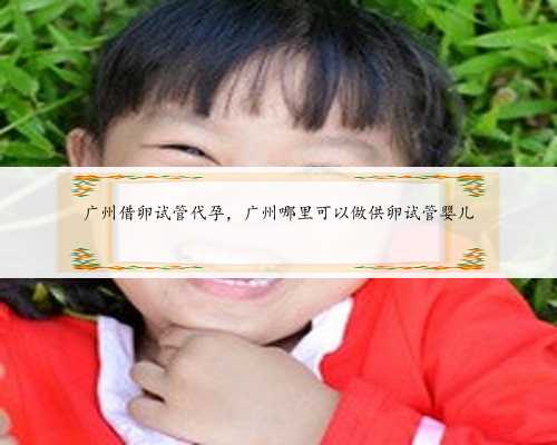 广州借卵试管代孕，广州哪里可以做供卵试管婴儿